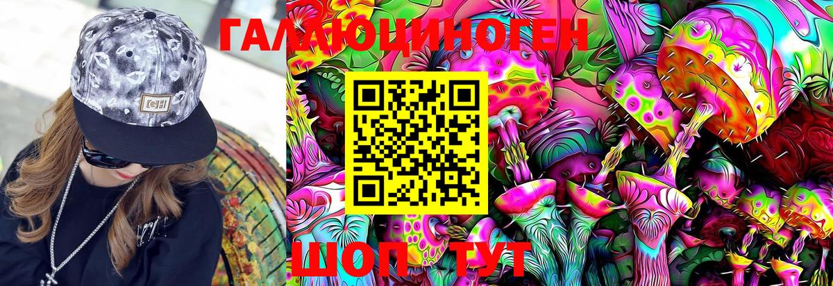 Галлюциногенные грибы Magic Shrooms  наркошоп  Псилоцибиновые грибы Cubensis  Химки  Вход с VPN 